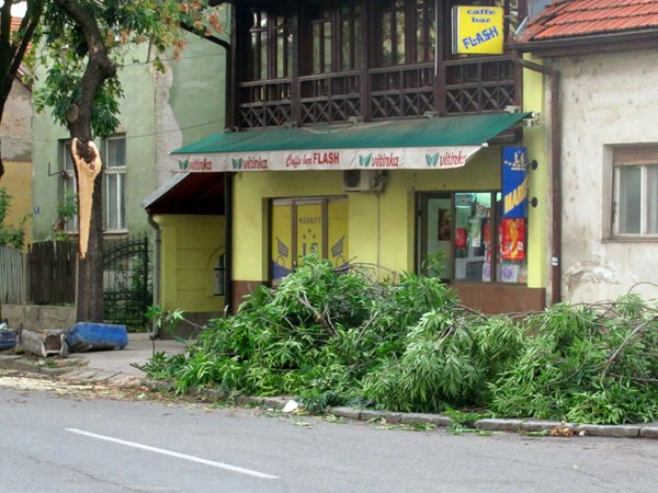 Oborena stabla u olujnom nevremenu koje je zahvatilo Bijeljinu...