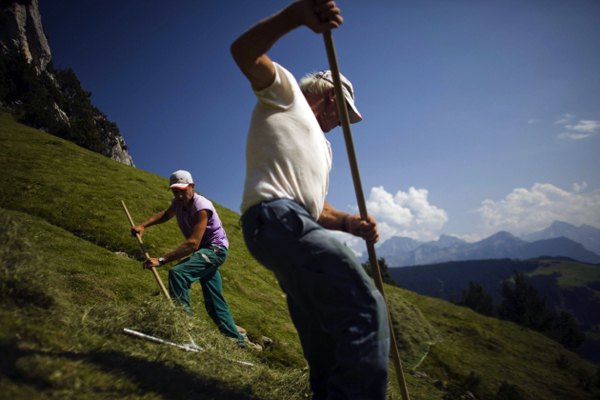 Ova tradicija u centralnoj Švajcarskoj stara je preko dvjesta godina, a praktikuje se od sredine jula do sredine septembra na višim terenima do kojih se zbog strmina teško dolazi čak i sa životinjama...