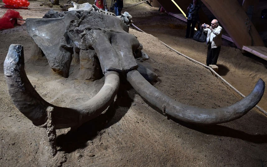 Posjetioci fotografišu skelet mamuta koji je živio prije milion godina. Skelet mamuta Vike (nadimak) je smješten u novootvorenom Mamut parku u okviru Arheološkog parka Viminacijum u Kostolcu / Srbija.