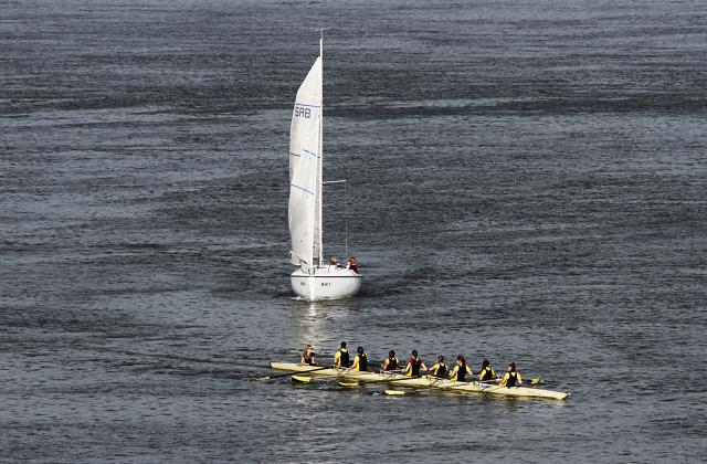 Trka studentskih osmeraca Međunarodne univerzitetske veslačke regate održana je na Dunavu kod Novog Sada.