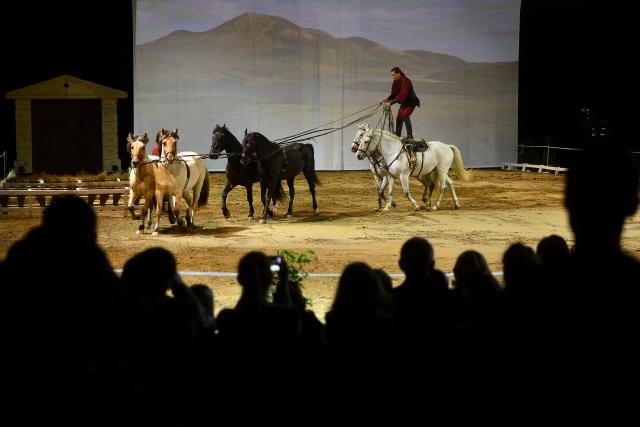 The Royal Horse Gala, "Pegasus", jedinstveni akrobatski šou sa 20 rasnih konja u Kombak Areni