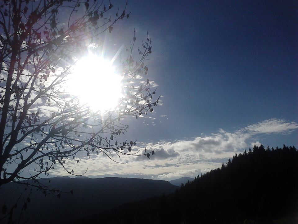Utorak, 25.novembar 2014./ Јelena Kovač, Foča - "Sunčan dan"