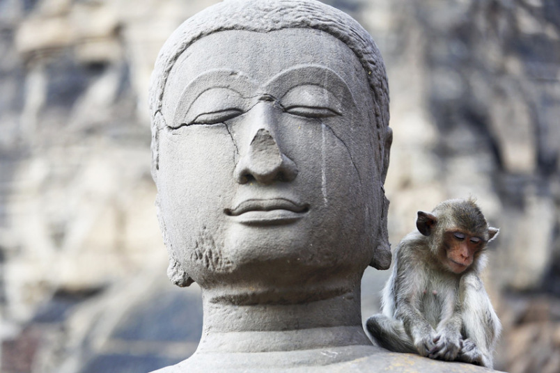 Dugorepoi makaki na statui Pra Prang Јot u Lopuri sjeverno od Bangkoka