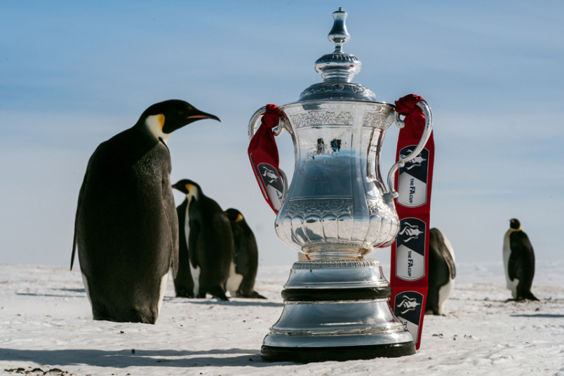 Pingvini oko trofeja