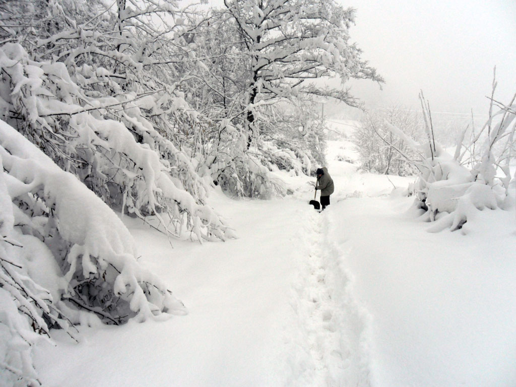 U Republici Srpskoj snježno nevrijeme  - U Novog Gradu već treći dan okolna sela nemaju električnu energiju.