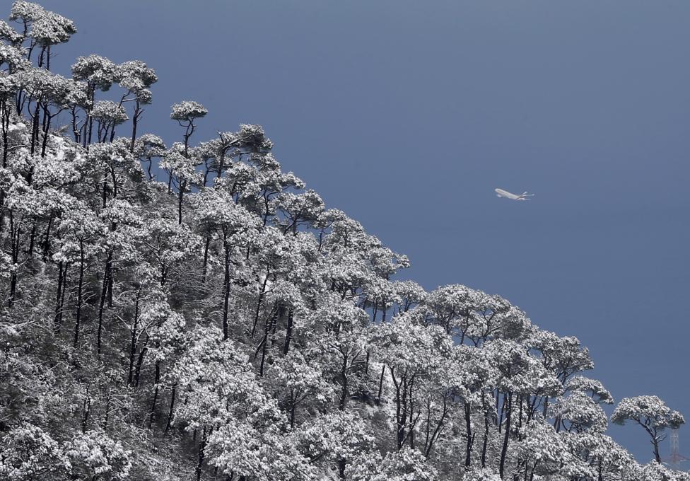 Liban - Avion leti 700 metara iznad snijegom pokrivenih borova