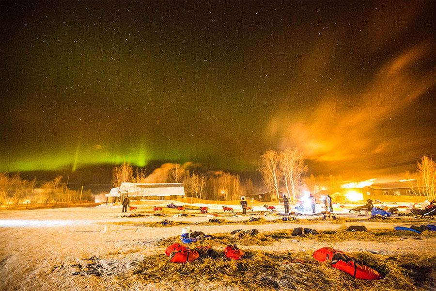 Prelijepa slika polarne svjetlosti na Aljasci zabilježena za vrijeme čuvene trke zaprežnih pasa 
(foto: Alaska Dispatch News, Loren Holmes)