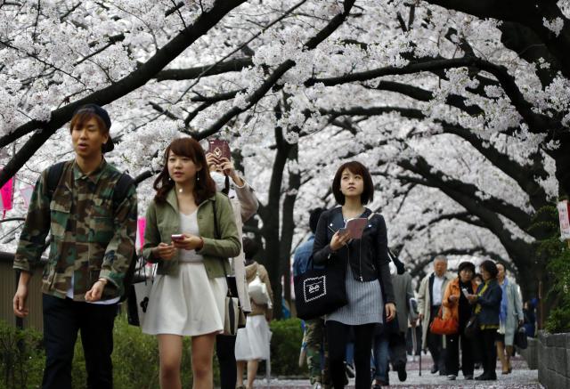 Prolaznici šetaju ispod stabala rascvjetalih trešanja u Tokiju.
