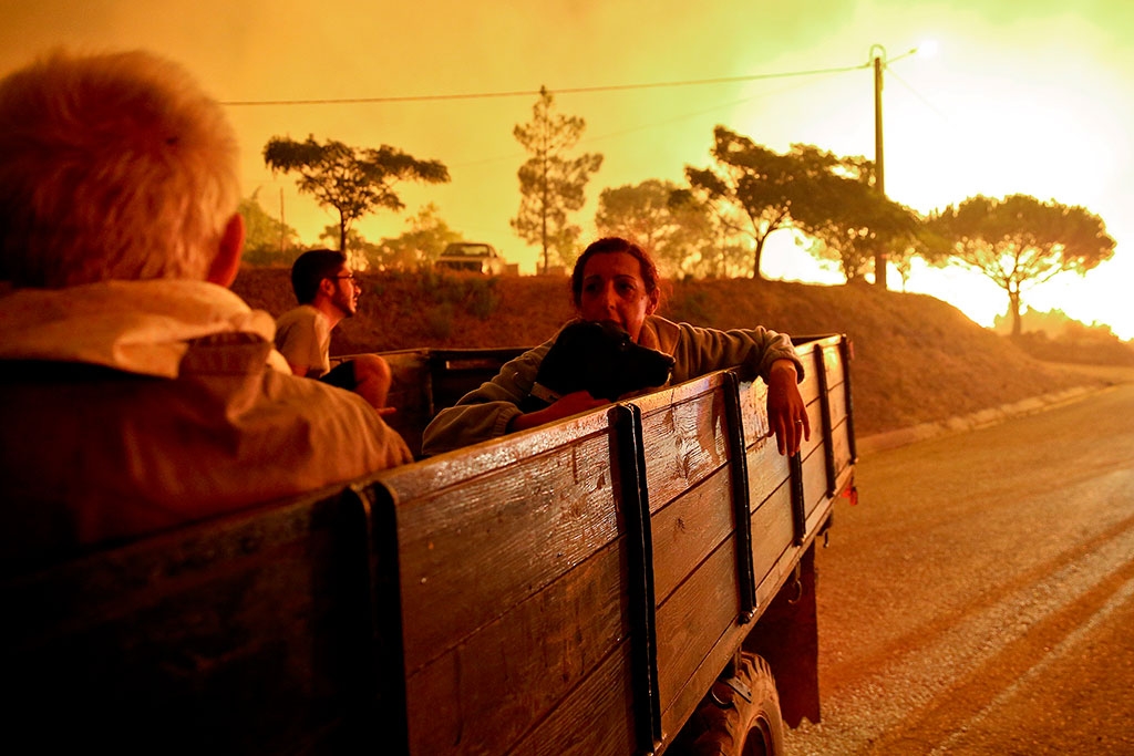 Šumski požar u Portugalu (foto: EPA/JOSE SENA GOULAO)