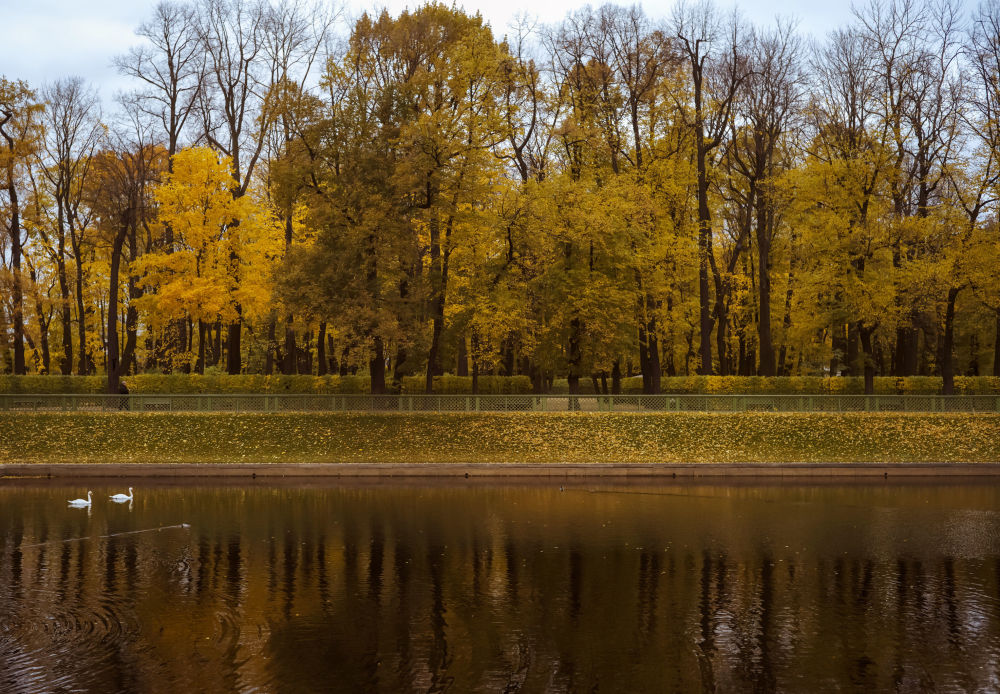 Zlatna jesen u ljetnjoj bašti u Sankt Peterburgu... (Foto: Sputnik/Alexei Danichev)