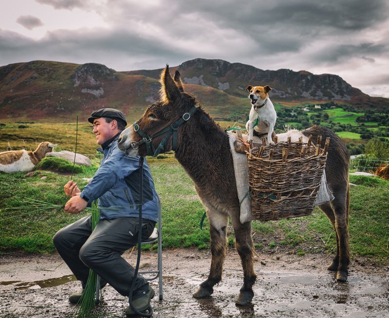 Nasmejana trojka, negdje u Irskoj... (Foto: National Geographic/Max Malloy)