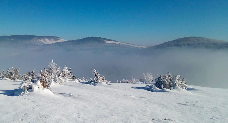 Manjača zimi (Foto:PD Kozara/Facebook)