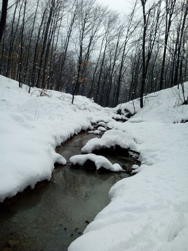 Potok u snijegu (Foto:Sandra Glumac)