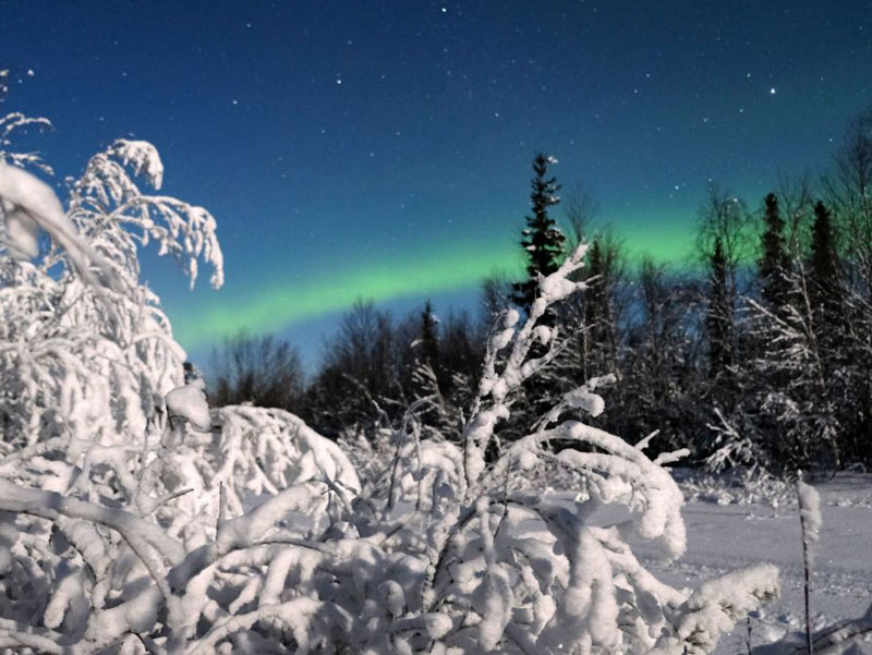 Sjeverna svjetlost u Murmanskoj oblasti  (Foto: Sputnik/ Pavel Lvov)