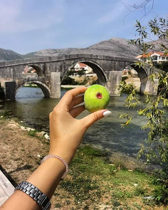 Srijeda, 3. juli / Јasminka Kumro - Pogled na Arslanagića most u Trebinju