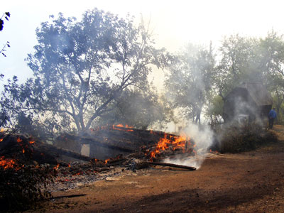 Požari - Foto: RTRS