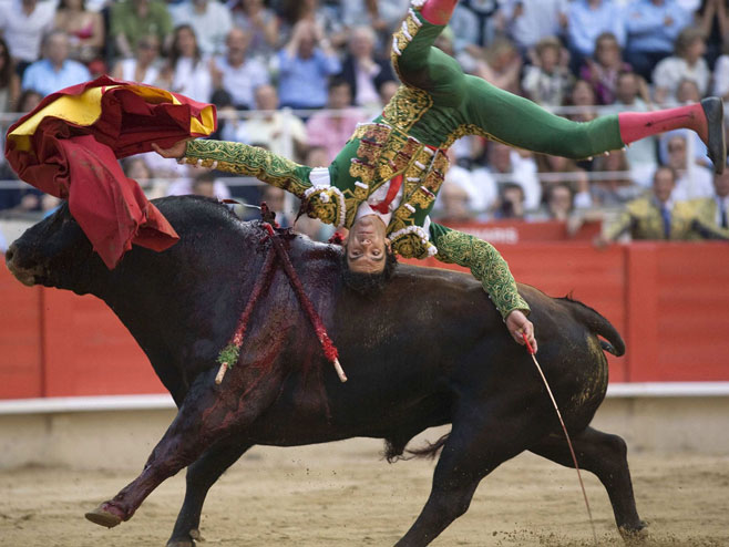 Španska korida - Foto: AFP