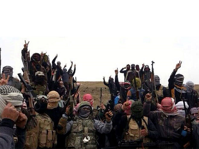 Al Kaida - Foto: AFP