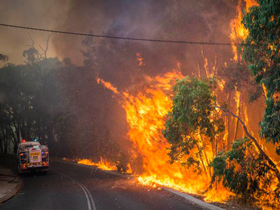 Požari - Foto: AP