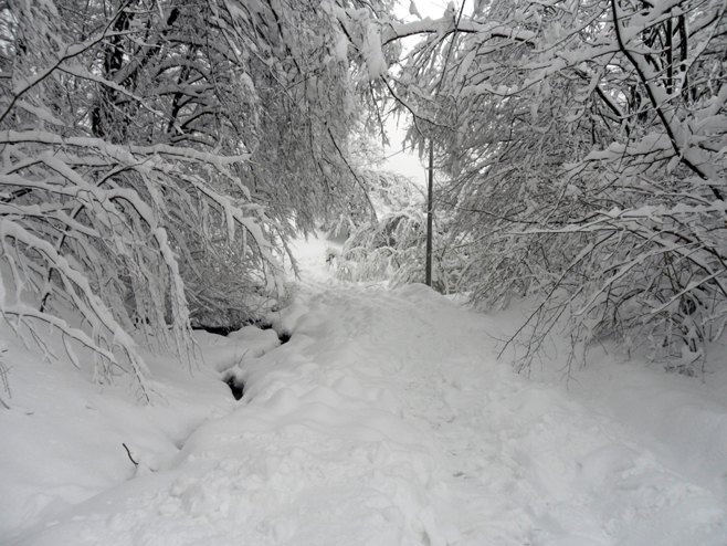 Snježno nevrijeme - Foto: SRNA