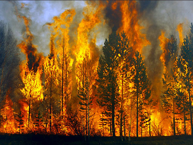 Požar u Rusiji (Foto: http://siberiantimes.com) - 