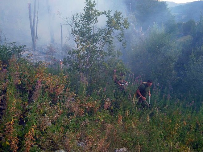 Gašenje požara na području opštine B.Grahovo(Foto: mod.gov.ba) - 
