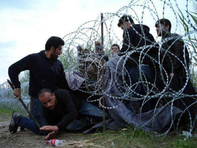Migranti na granici Srbija - Mađarska - Foto: Beta/AP