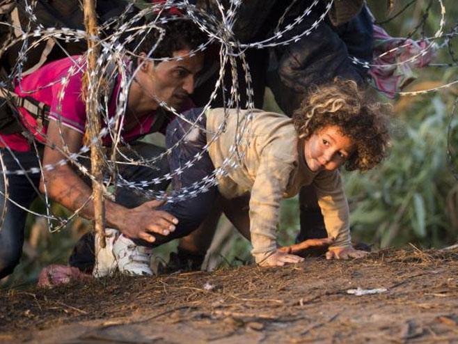 Ilegalni migranti na mađarskoj granici - Foto: TANЈUG