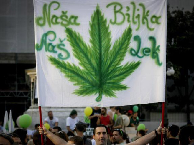 Protest za legalizaciju marihuane - Foto: TANЈUG