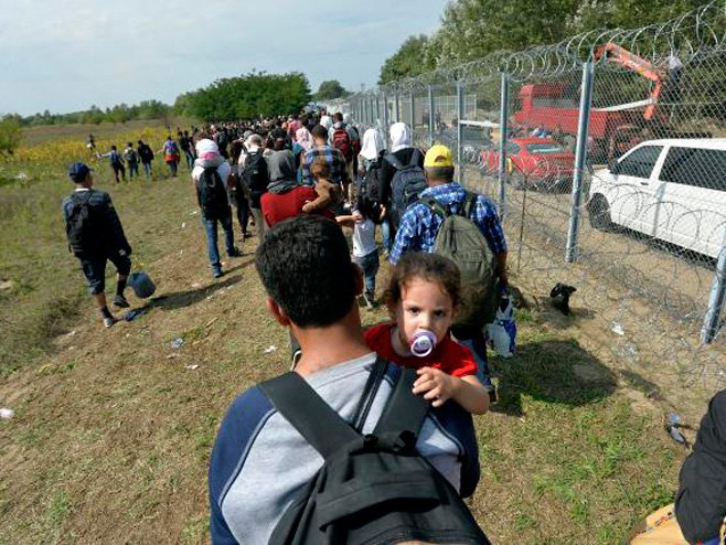 Migranti na granici sa Mađarskom - Foto: TANЈUG