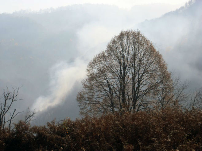 Šumski požar kod Srebrenice - Foto: SRNA