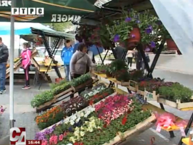 "Dani cvijeća" u Prijedoru - Foto: Screenshot