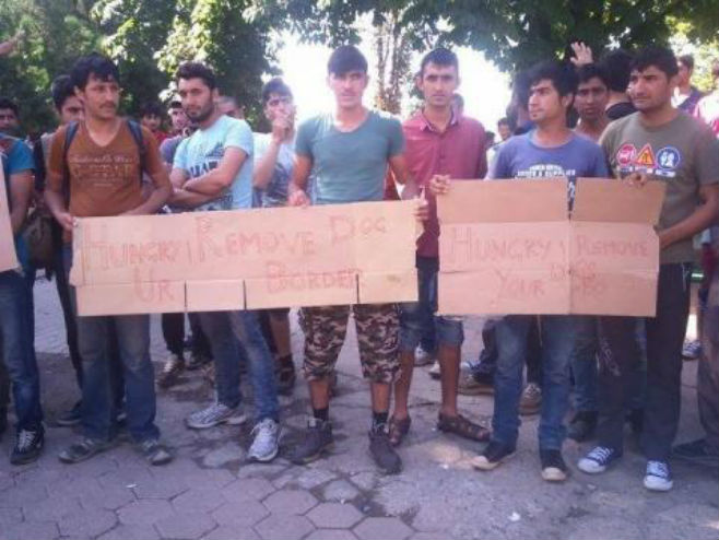 Protest migranata u Beogradu (foto: Info park) - 