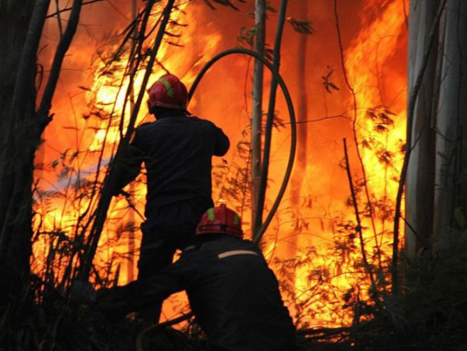 Šumski požar      (Foto:kurir.rs) - 