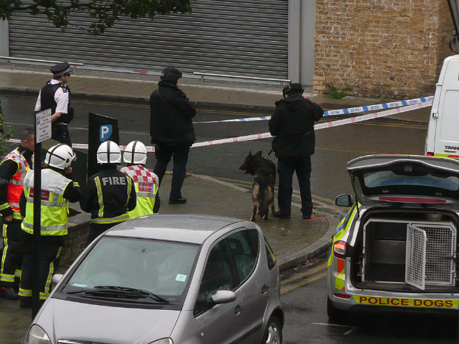 Policija u Londonu (foto: Twitter @nickstew_art) - 