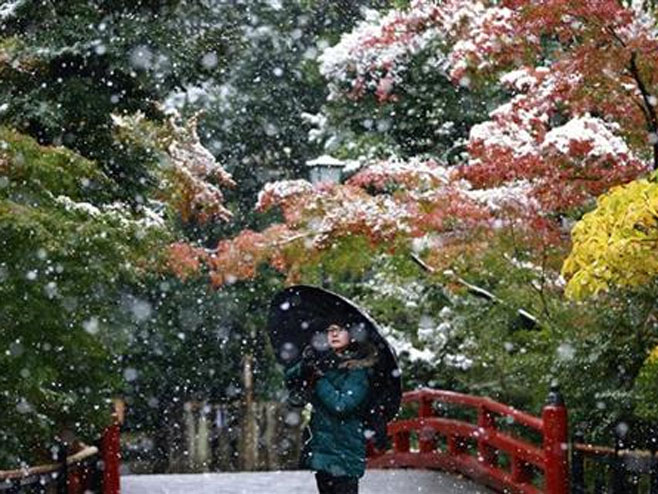 Pao Snijeg u Tokiju - Foto: TANЈUG
