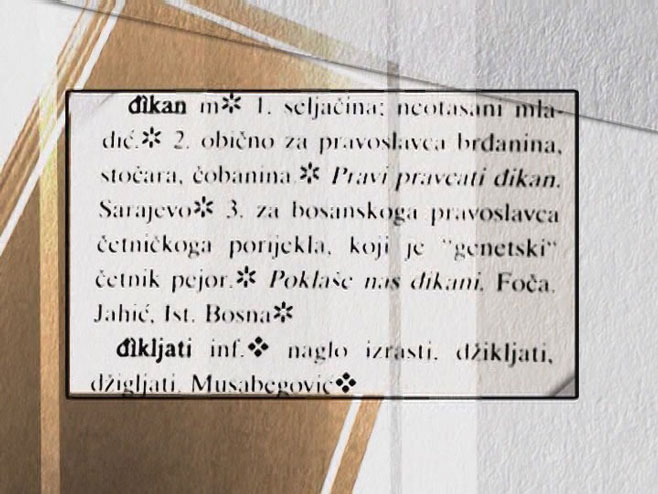 Bosanski jezik - Foto: RTRS