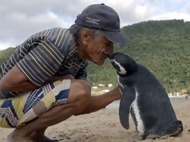 Nevjerovatno prijateljstvo pingvina i ribara - Foto: Screenshot/YouTube