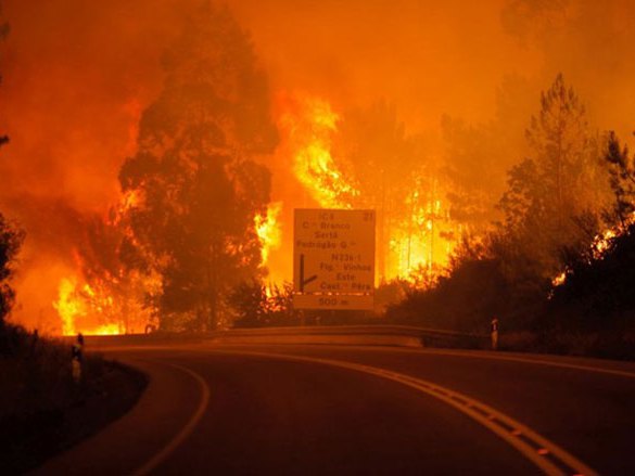 Požar u Portugalu  (Foto:FaH) (Arhiv) - 