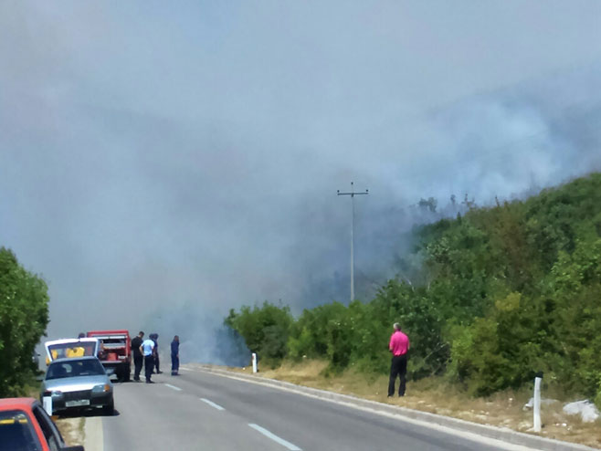 Put Trebinje - Ljubinje požar - Foto: RTRS