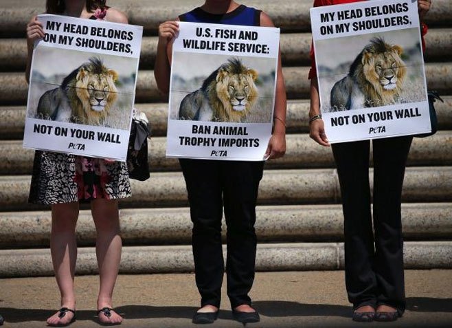 Protesti zbog ubistva lava - Foto: Getty Images