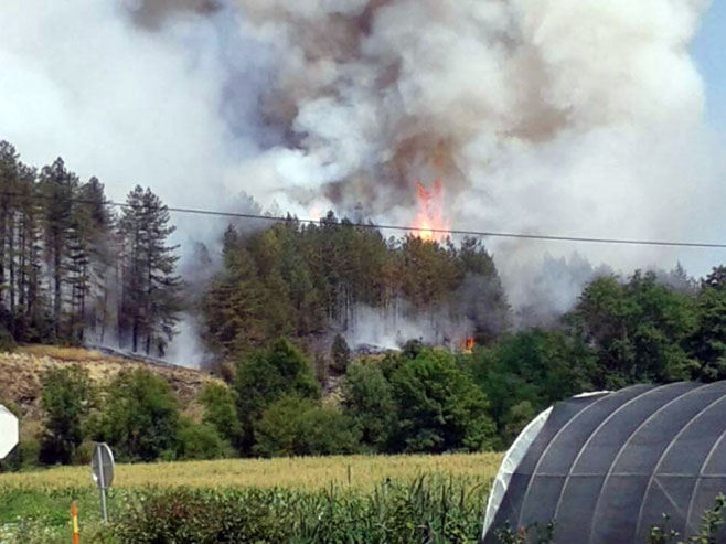 Požar kod Čelinca (foto: Restart) - 