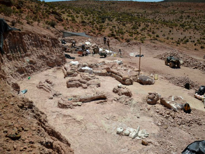U Argentini otkriveni ostaci najvećeg dinosaurusa - Foto: AP