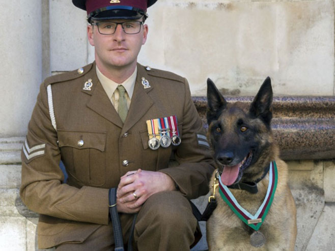 Pas britanske vojske nagrađen za hrabrost - Foto: AP