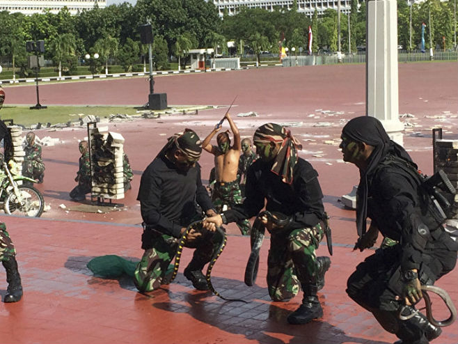 Indonezija: Komandosi se bore sa zmijama (Foto: AP Photo/ Robert Burns) - 