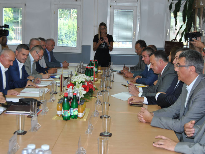 Sastanak ministra industrije, energetike i rudarstva Srpske i Srbije - Foto: SRNA