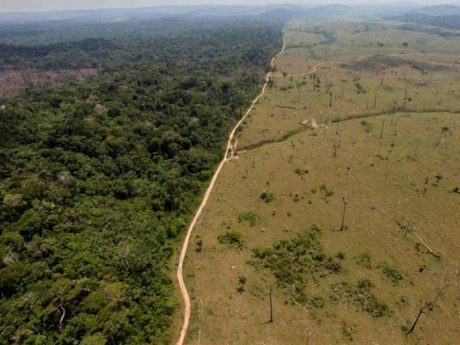 Deforestacija Brazila (foto: wedonthavetime.org) - 