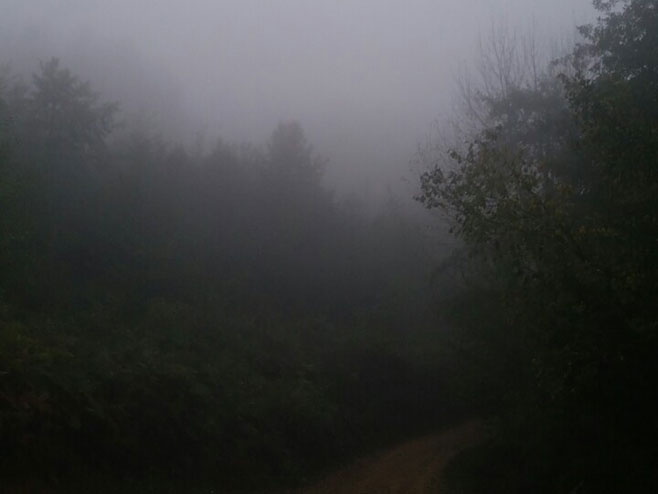 Magla (foto:Bojan Šavija) - 