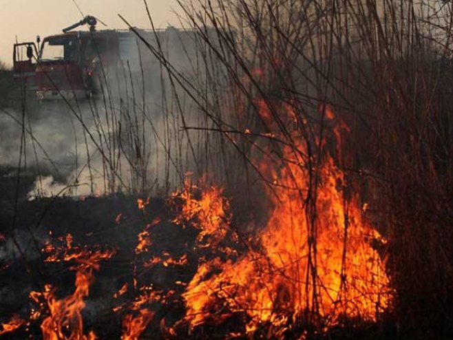 Požar u okolini Trebinja (Foto: trebinjelive.info) - 