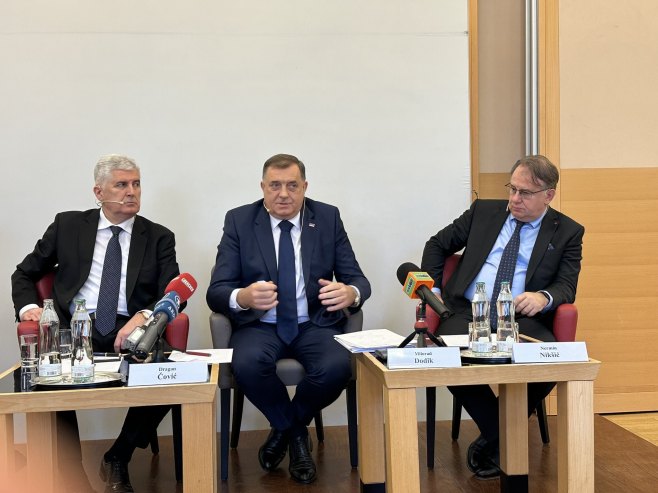 Panel u Beču (Foto: twitter.com/MiloradDodik) - 